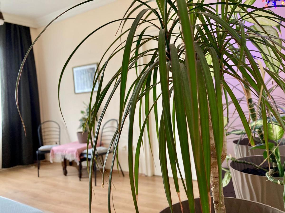 Terazije Square Lux Apartment Beograd Bagian luar foto